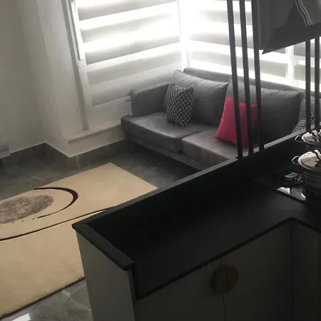 Διαμέρισμα Arti Suites Fethiye 103 *